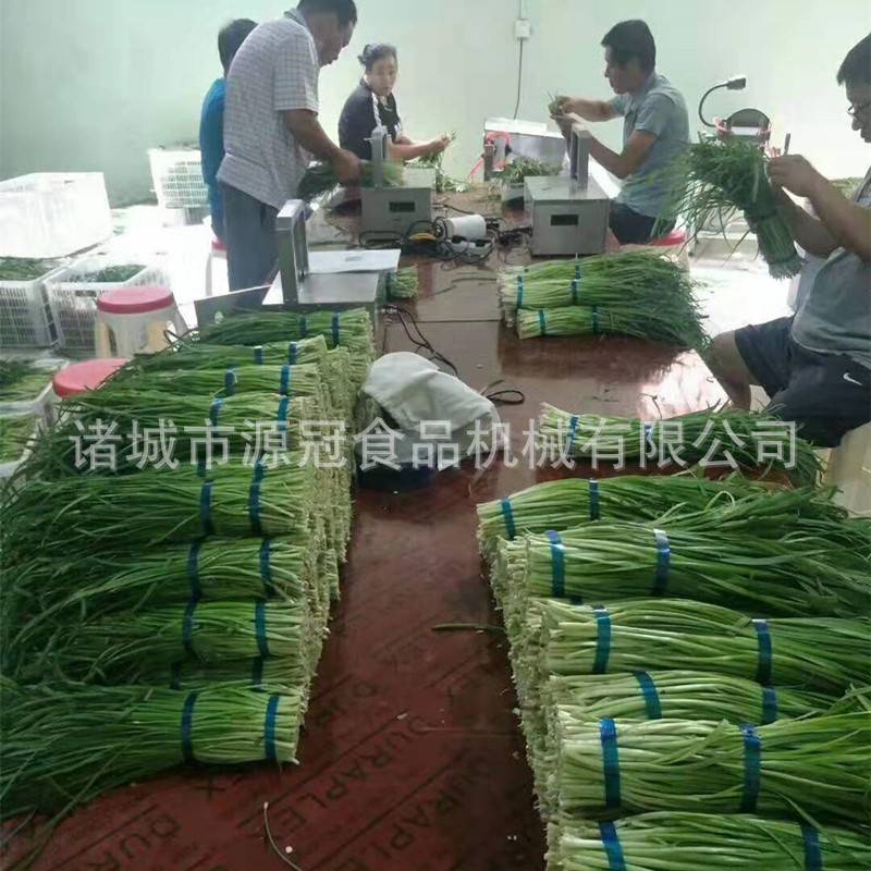 快速韭菜去皮机不锈钢小葱蒜黄去泥吹皮机自动感应韭菜脱皮机现货