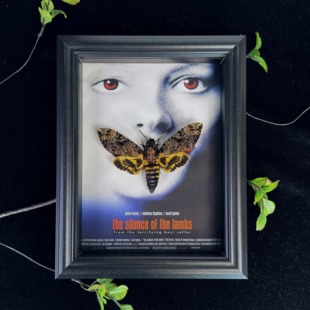 晴天蝴蝶 鬼脸天蛾昆虫标本摆件装饰画礼物沉默的羔羊手工定制款