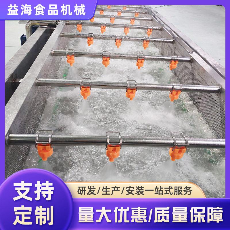 全自动奶白菜清洗机樱桃气泡清洗机喷淋式茼蒿油麦菜清洗设备
