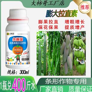 辣椒黄瓜豆角拉直增长保花保果条形作物通用拉长增粗膨大素拉长剂