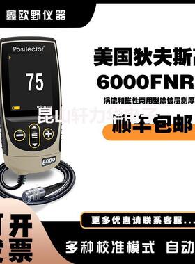 美国狄夫斯高DeFelsko PosiTector 6000FN3涂层测厚仪 膜厚仪