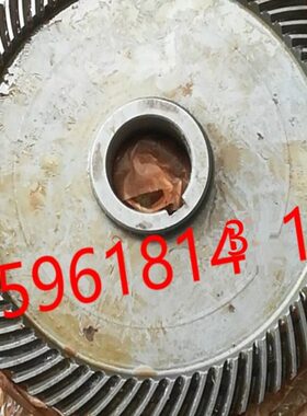 M7480立磨配件斜齿轮伞齿轮M7475B外径168齿数74伞齿轮
