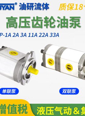 HGP-1A-F1R-X-2B-10高压2A齿轮泵F3R4F5R6F9R12液压11油泵F8R 4BJ