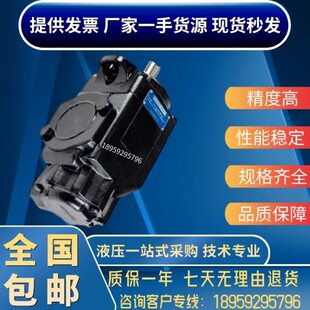 丹尼逊T6DC 038 014/012/010/008/006/005/003 1R/2R/3R00 B1油泵