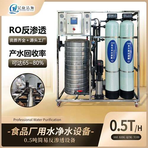 食品厂直饮水设备源头工厂净水设备纯水设备RO反渗透设备带水箱