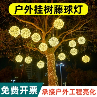 藤球灯挂树220V户外防水led彩灯节日街道工程亮化发光圆球装饰灯