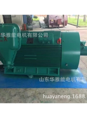 XDM2-200L-8-15电机EXDII标识BM电机逆时针转向做标记带径向通风