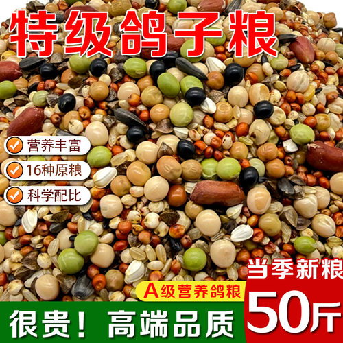 精品鸽粮50斤高营养赛鸽幼鸽育雏鸽粮鸽子粮食鹦鹉粮鸟食通用批发