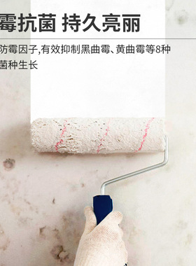 嘉莉万宜室内家用内墙自刷涂料墙面G翻新漆环保无甲醛白色油漆