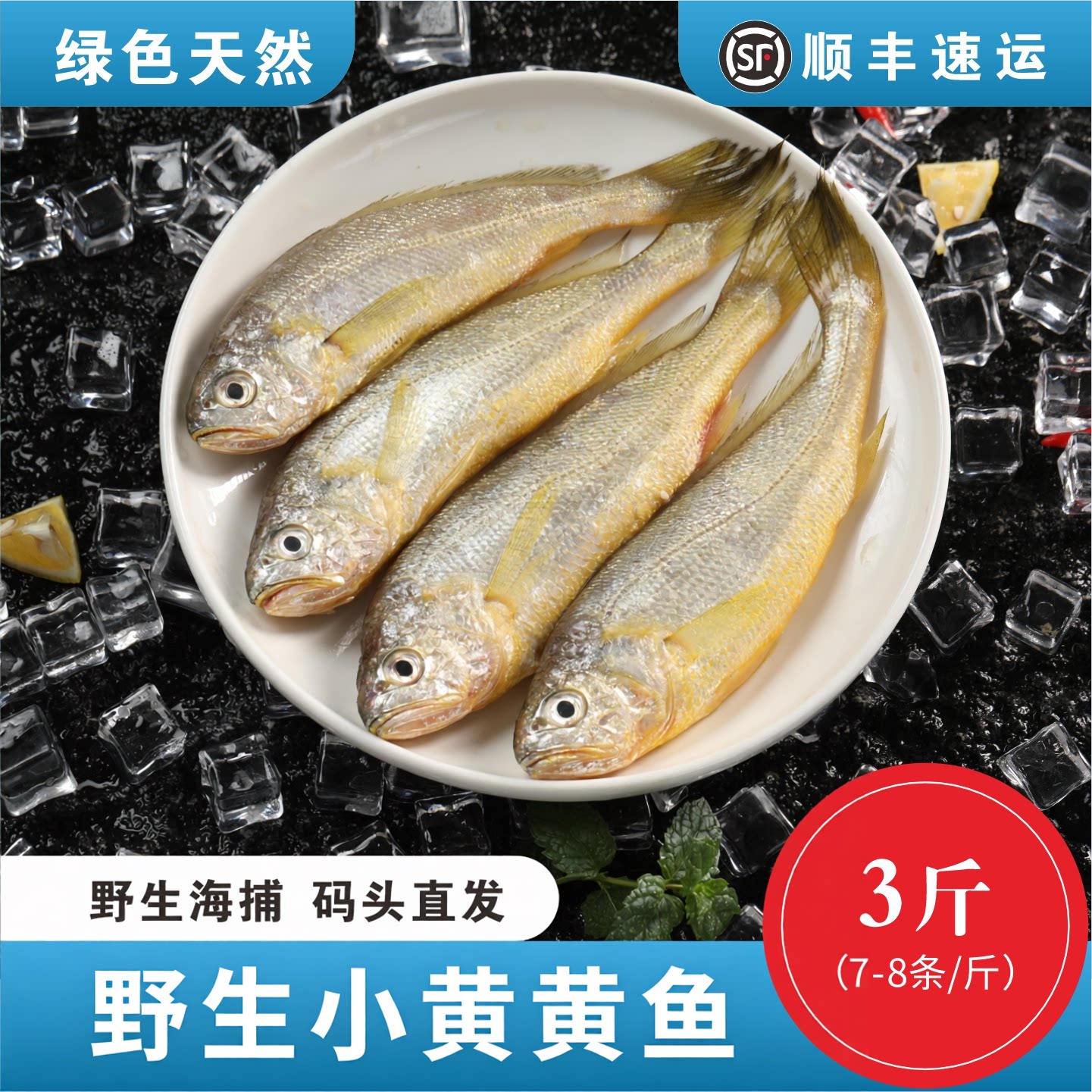 3斤东海野生小黄花鱼东海新鲜海捕小黄鱼冷冻海鲜水产野生海捕