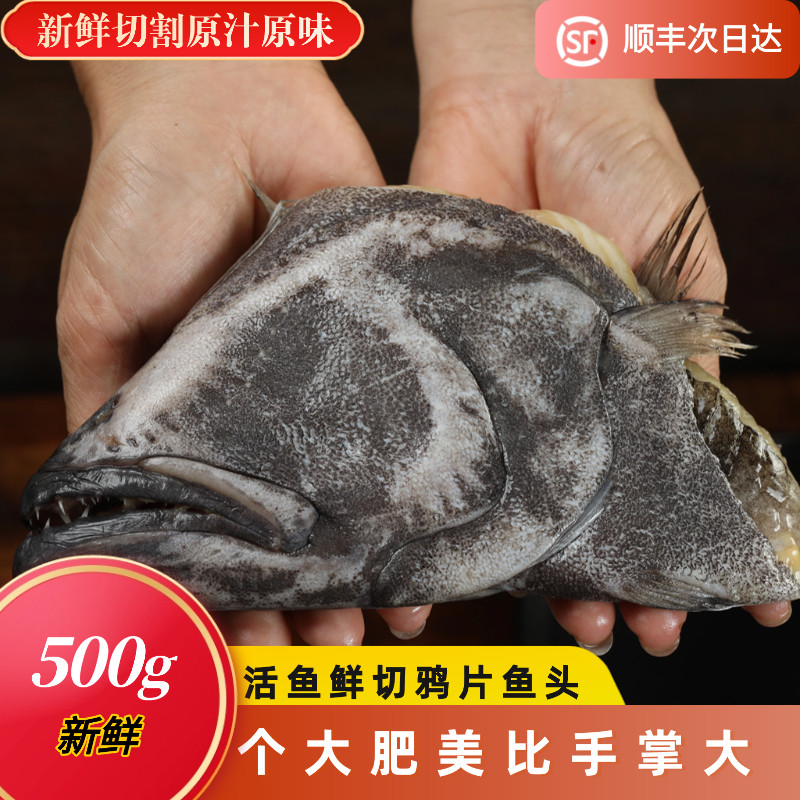 碟鱼头鲜活冷冻碟鱼头超大鸦片鱼头商用烧烤深海比目鱼顺丰包邮