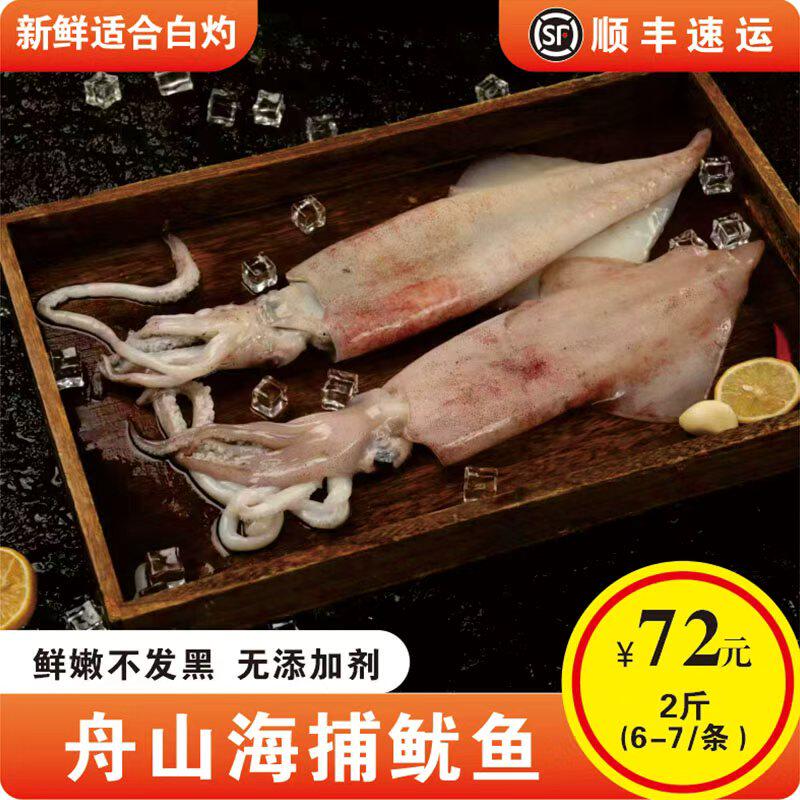 舟山野生鱿鱼生鲜冷冻新鲜海捕超大尤鱼笔管鱿鱼整只白灼烧烤专供