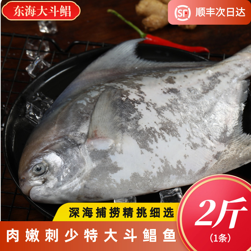 舟山野生特大斗鲳鱼鲜活冷冻东海超大白鲳鱼深海水产速冻,水产肉类/新鲜蔬果/熟食,鲳鱼,淘宝优惠券,粉丝福利购,淘宝优惠卷