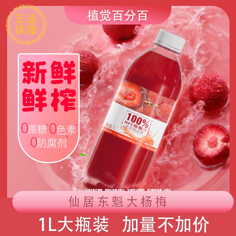 杨梅大桶植觉爆款NFC杨梅汁烧烤火锅聚会清爽解腻满满果肉畅饮