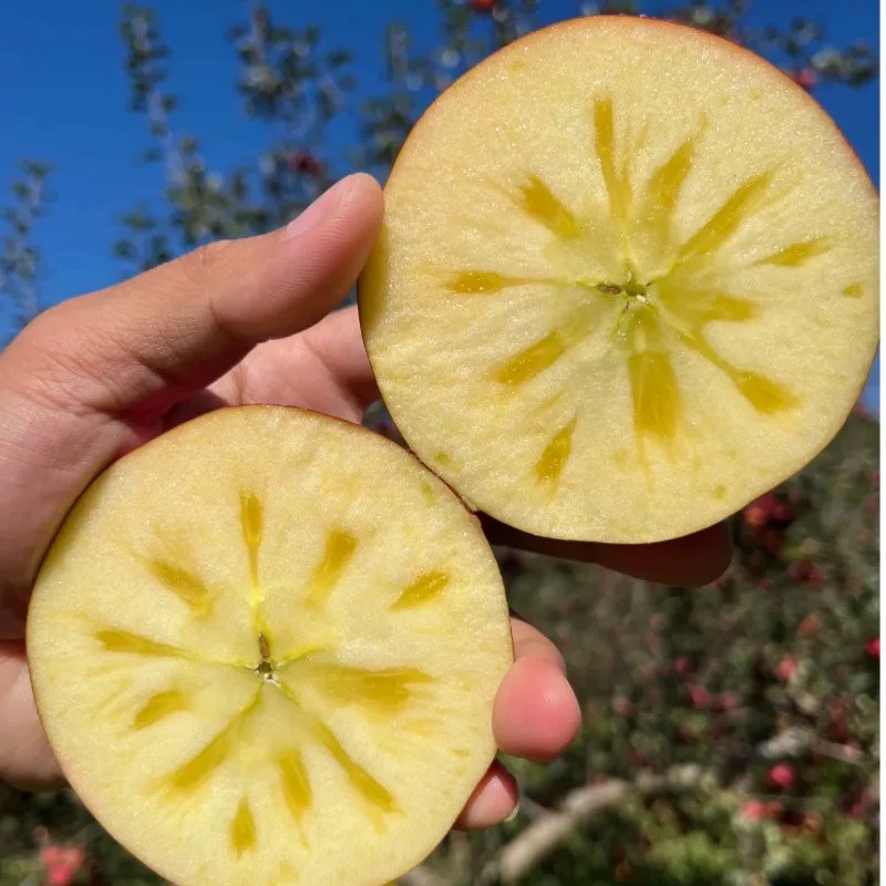 云南昭通冰糖心丑苹果脆甜多汁新鲜采摘不打蜡5斤起