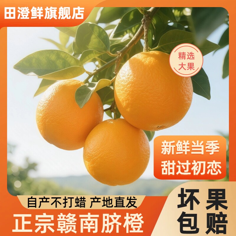 正宗江西赣南脐橙新鲜现摘橙子