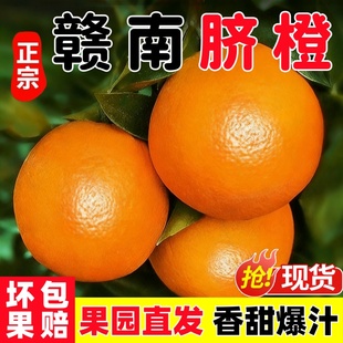 橙子赣南脐橙新鲜4.5斤