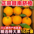 正宗赣南脐橙新鲜现摘