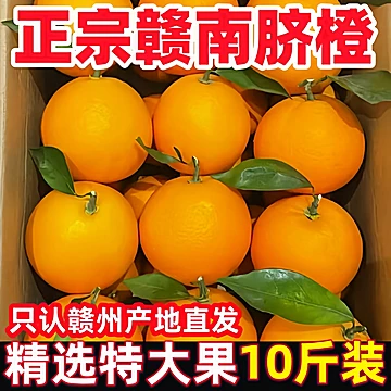 正宗赣南脐橙新鲜现摘