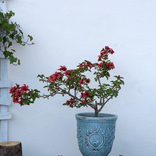 欧式风格陶艺花盆 粗陶挂釉 冰裂纹灰兰色高脚杯鸟盆 陶盆2色可选