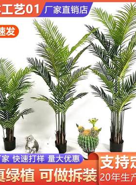 散尾葵凤尾葵北欧大型室内仿真植物美人蕉橄榄树尤加利直销