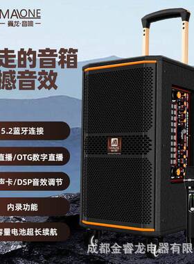 四川曼龙音响K208系列吉他弹奏主持k歌便携式广场舞移动木制