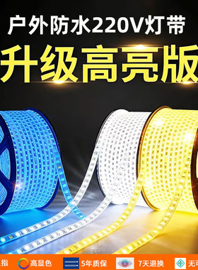 超高亮led灯带户外防水220v亮化工程外墙室外客厅吊顶暖白光灯条