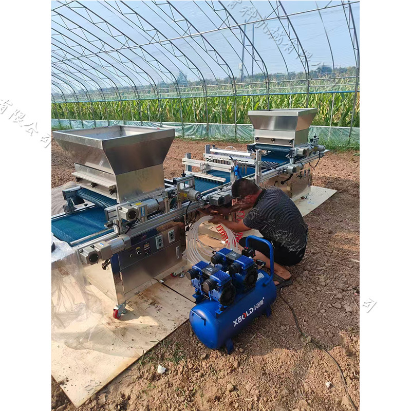 蔬菜种植基地用穴盘育苗机泡沫盘漂盘育苗点种机油葵荠菜种点播机