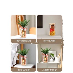 肉桂生财发财摆件招财玻璃瓶瓶子花瓶diy材料客财厅位车载搬家用