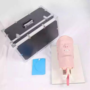 厂家代发环甲膜穿刺和切开训练模型成人男性可更换可插鼻咽通气管