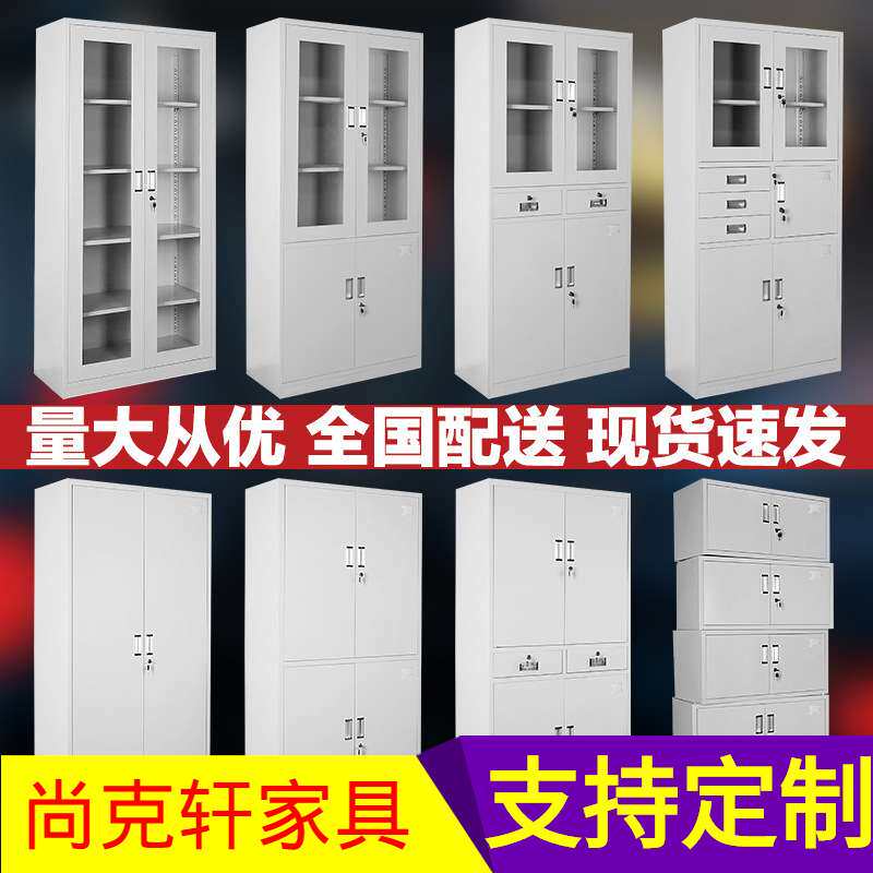 广东文件柜铁皮柜档案柜员工储物收纳柜办公室铁柜财务凭证柜带锁