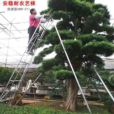 安稳耐轻便型农艺梯AWN-311三脚梯园林园艺梯果园梯铝合金修剪梯