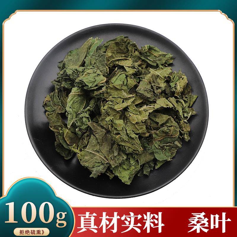 中药材新鲜桑叶青桑叶霜桑叶桑叶天然无硫磺桑叶500g克干桑叶包邮