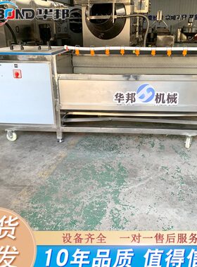 土豆脱皮机 莲藕毛辊清洗机 小型马蹄清洗机 厂家供应 质保两年