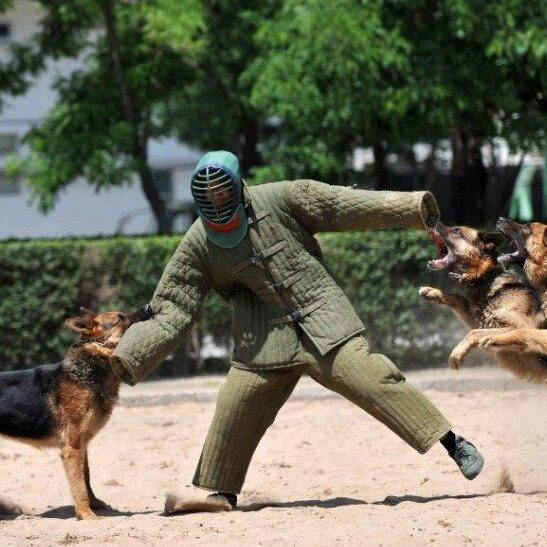 麻布化妆服 帆布扑咬服 工作犬训练装备 犬防御靶衣加厚长款防护