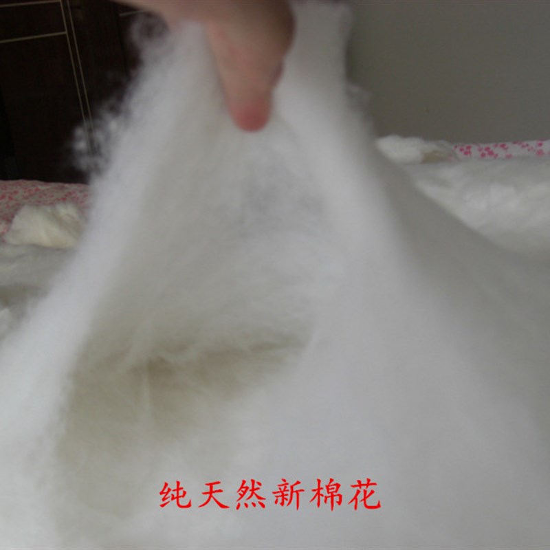 棉花被子被芯春秋冬被160x210cm1.6Gx2.1单人学生薄棉被1米5x2米