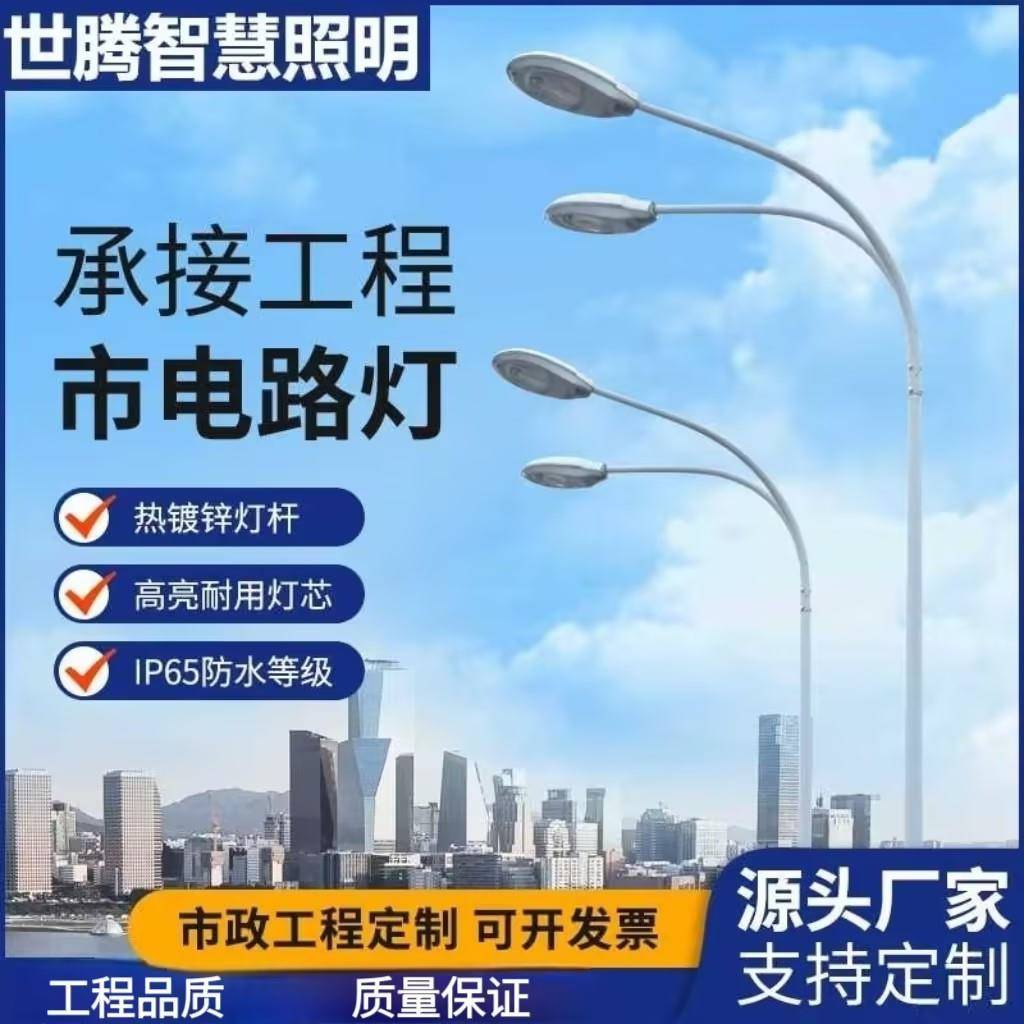 LED市电路灯市政高杆高亮户外防水路灯6米8米10米城市照明路灯杆