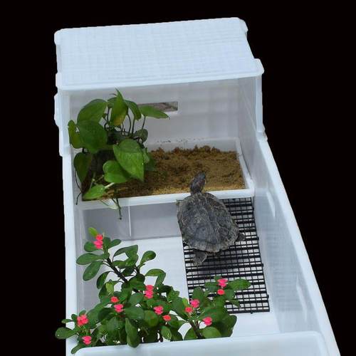 新款养龟缸塑料带晒台大号中小型养龟箱子阳台养龟盆乌龟缸池托窝