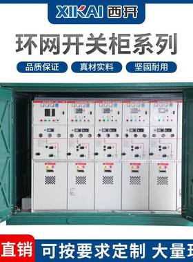 10kv高压开关柜进线柜环网柜固体柜充气柜配电柜提升柜计量柜