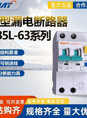 华五上海华通ZB5L-63/1P+N C32A 30mA微型漏电断路器2P 3P 3+N 4P