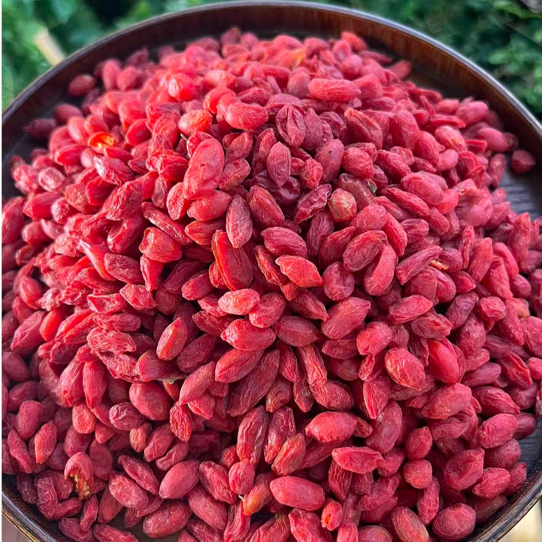 冻干红枸杞-云南小莫