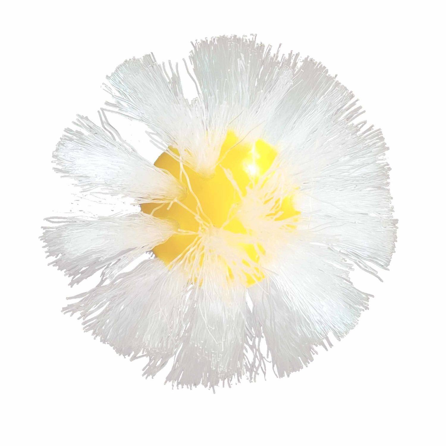 洗鞋摩擦球球滚筒洗衣机用刷鞋神器球形鞋刷懒人免安装去污快刷