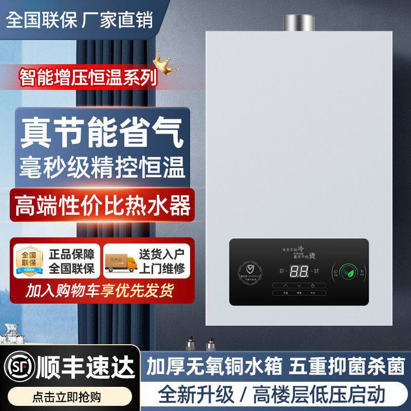 德国品牌燃气热水器恒温家用节能天然气液化气12/16L强排式热水器