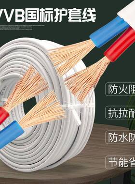 2芯电线软线国标2.546平方护套线防冻防水电缆线家用双股电源线