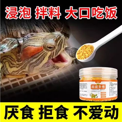 电解多维乌龟专用维生素电解质龟用改善厌食拒食R补充体能增强体