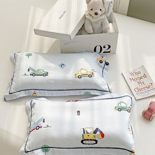 卡通儿童枕天丝枕套30X50夏季幼儿园宝宝冰丝枕头套学生单人48X74