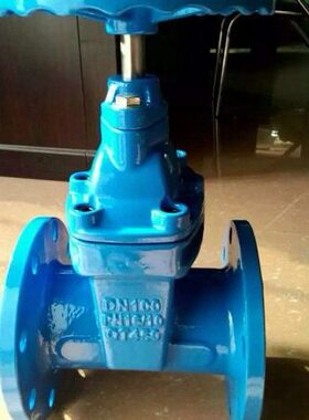 RVHX-10/16暗杆软密封闸阀 球墨铸铁Z45X-16Q DN100 125 150 200