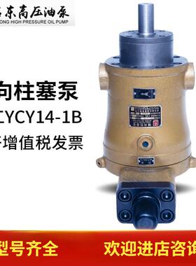 启东高压油泵精工10/25/40/63/80/108/160/250YCY14-1B轴向柱塞泵