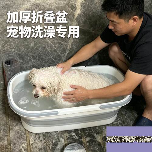 小型犬狗狗专用洗澡盆可折叠夏季宠物猫咪浴盆可携式节省空间防侧