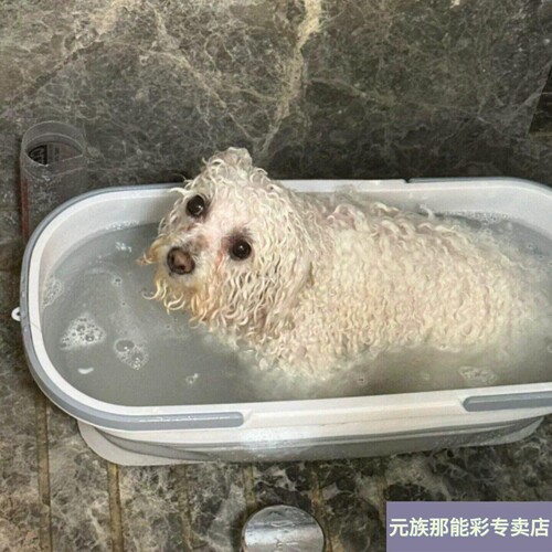 狗狗专用洗澡盆可折叠洗澡工具小狗猫咪洗澡浴盆洗狗盆宠物洗澡盆